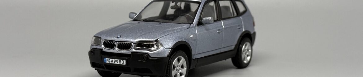 X3 3.0d (E83)_1